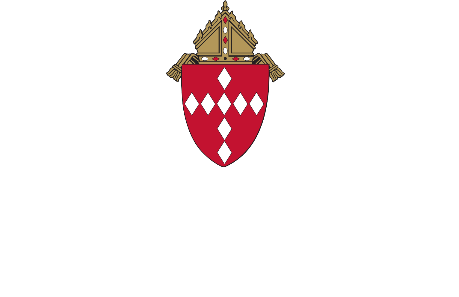 Safe Environment Training | Diocese of Raleigh