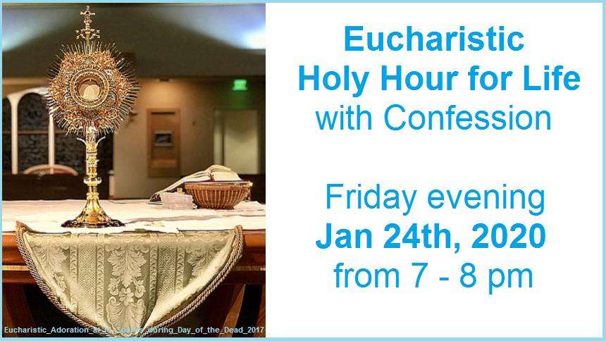 Pro-Life Holy Hour, St. Luke the Evangelist, Raleigh, NC