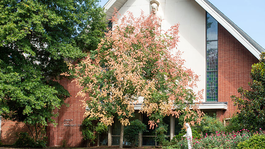 Immaculate Conception Church, Durham, NC