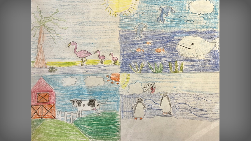 St. Catherine of Siena School - Norah - 6th grade