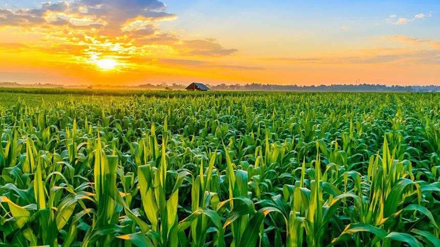 Pope's prayer for September: Respecting, protecting God's creation