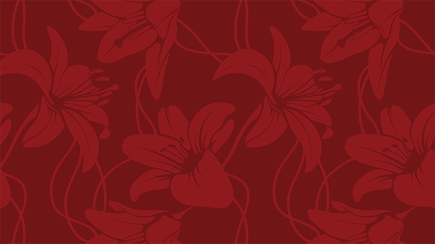 There is More! Women's Reflection