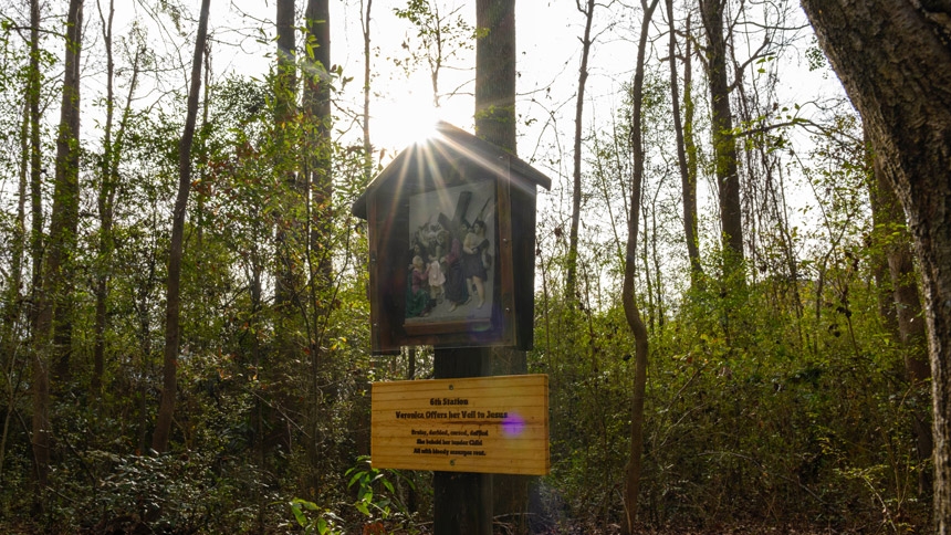«Profunda Reverencia» por el Vía Crucis: En toda la diócesis, la oración es un pilar de la Cuaresma