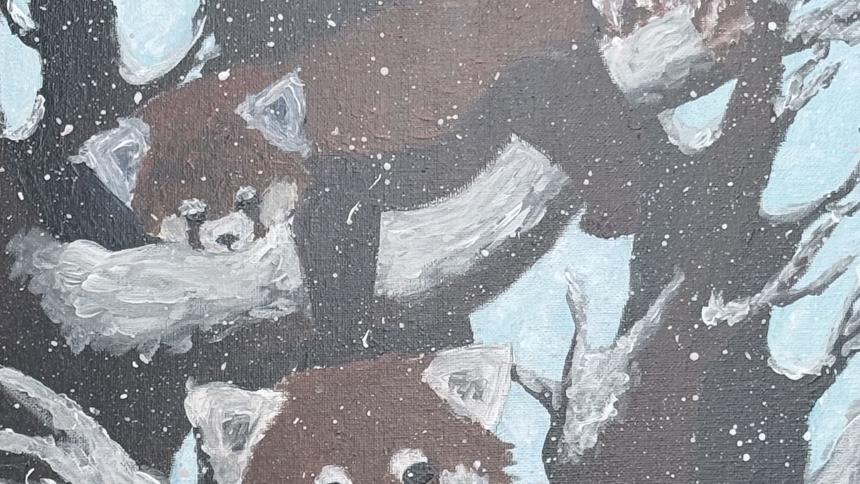 How they care: Showcase encourages students to draw for the Earth