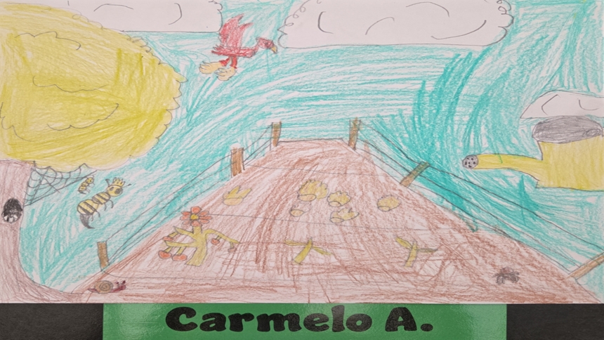 How they care: Showcase encourages students to draw for the Earth