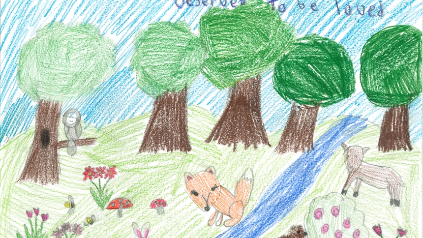 How they care: Showcase encourages students to draw for the Earth