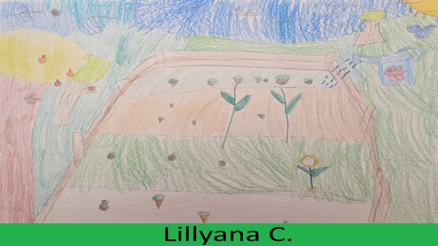 How they care: Showcase encourages students to draw for the Earth