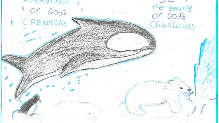 How they care: Showcase encourages students to draw for the Earth