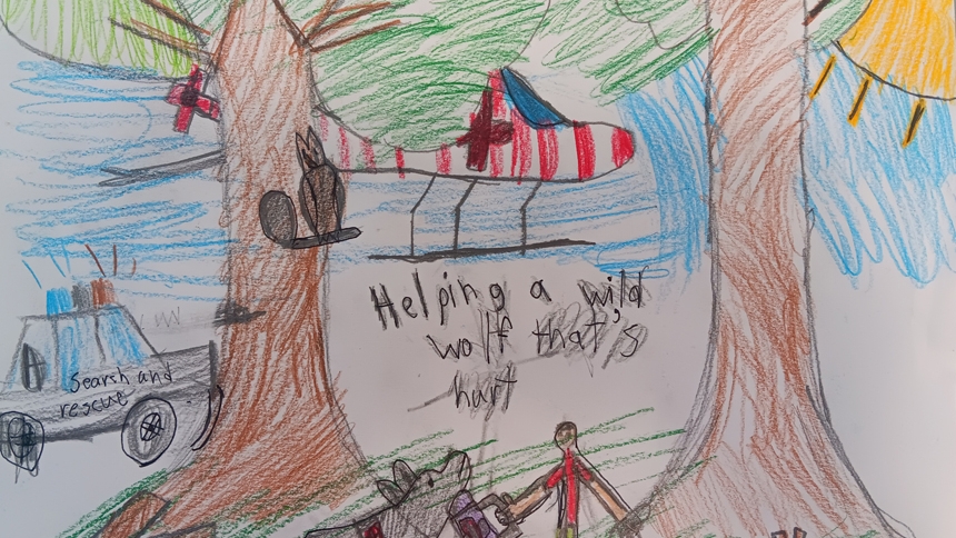 How they care: Showcase encourages students to draw for the Earth