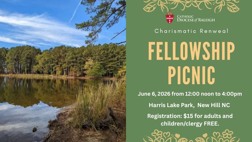 Fellowship Picnic
