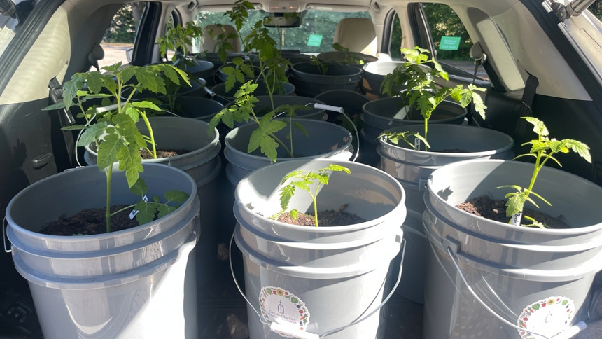 Gardening takes root in Tar River