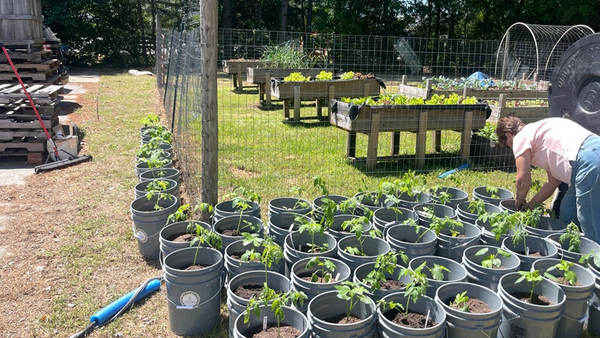 Gardening takes root in Tar River