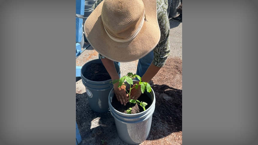 Gardening takes root in Tar River