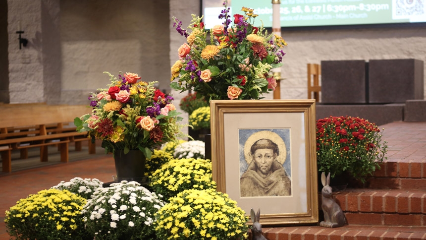 Diocese shares Laudato Si’ Action Plan