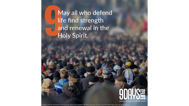 9 Days for Life: Day 9 - May all who defend life find strength and renewal in the Holy Spirit.