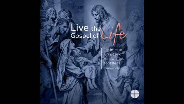 Live the Gospel of Life: Respect Life Reflection