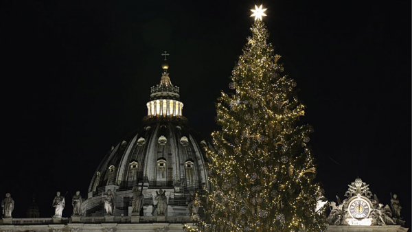 The Christmas tree decorates St. Peter's Square after a lighting ceremony at the Vatican Dec. 11, 2020. (CNS photo/Paul Haring)
