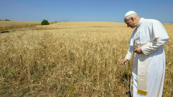 Pope Leo XIV visits a field where the Vatican is studying setting up a solar farm on land surrounding the Vatican Radio shortwave transmission center at Santa Maria di Galeria outside of Rome June 19, 2025. (CNS photo/Vatican Media)
