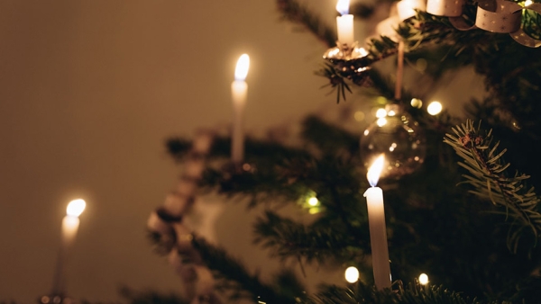 Getty Images/Anastasiia Voloshko