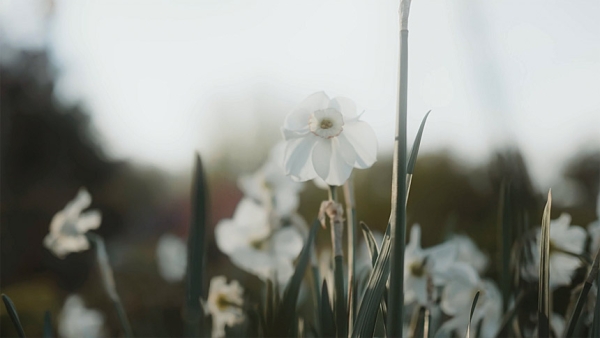 Bishop Luis: Encounter the risen Jesus in new ways